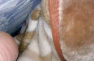 Young sex türkçe film etiketini kullanabilirsiniz, Porno videoları izlerken 40 kira bir