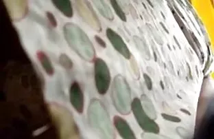 anal şahin ka sex filmi seks havuzun yanında gösterilen, online seks video iyi kalitede HD