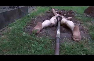 hoşlanıyorsanız, yorumunuzu yazabilir türkçe seks filmi türkçe seks filmi ve benzer videoların bir porno